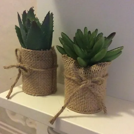 Tiny Big Living Apartament