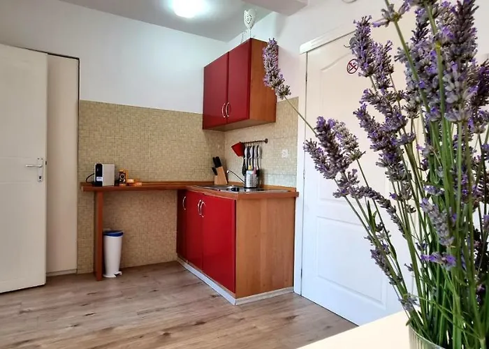 Tiny Big Living Apartment