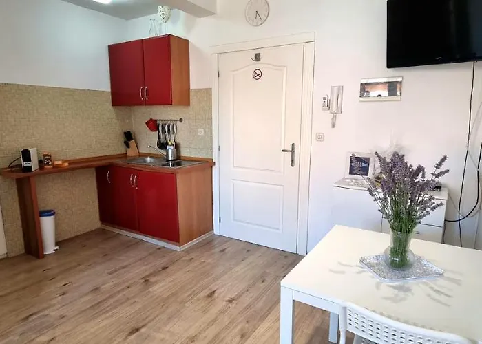 Tiny Big Living Διαμέρισμα Ρόβινι